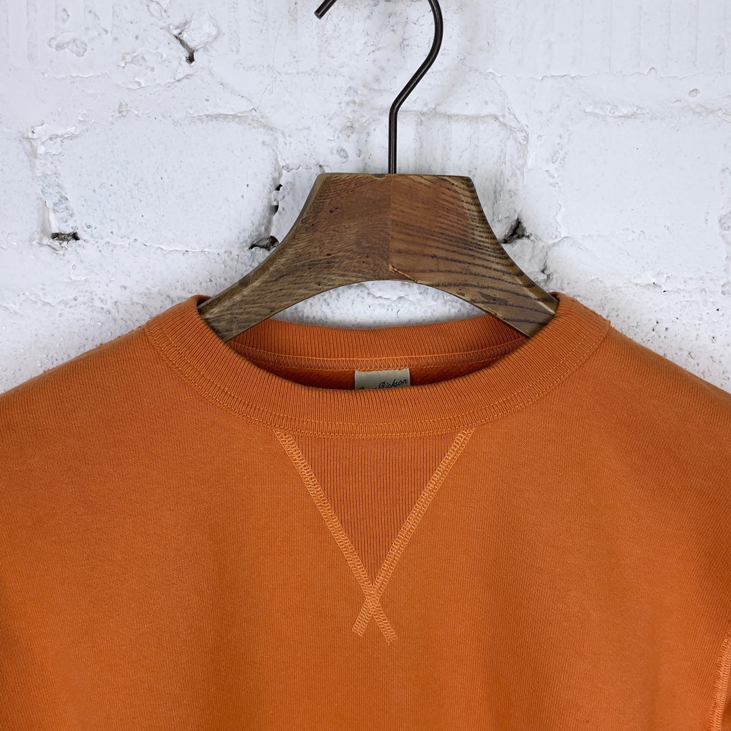 https://www.stuf-f.com/media/image/21/18/2e/buzz-ricksons-br65622-13oz-plain-sweatshirt-orange-2.jpg
